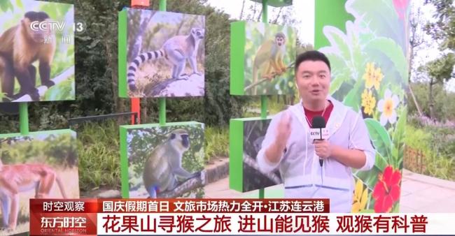 国庆假期去哪玩？各地文旅市场热力全开