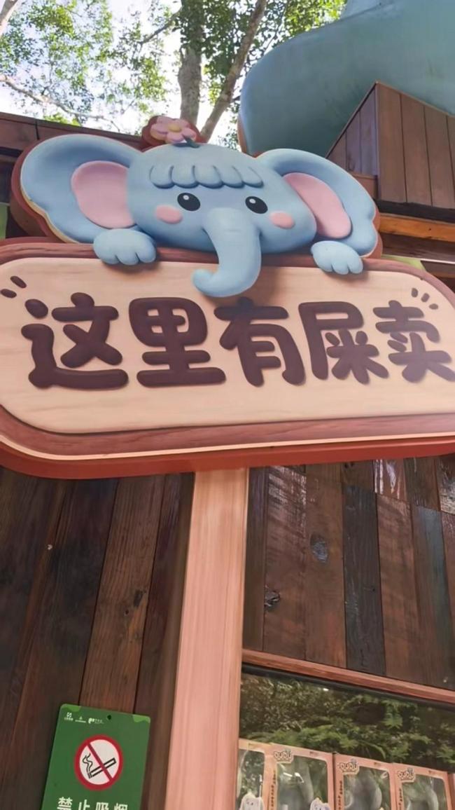 西双版纳景区用象粪做文创：卖得不错