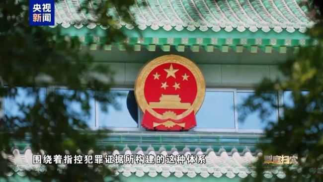 专案组：获取证据办成铁案 血债血还