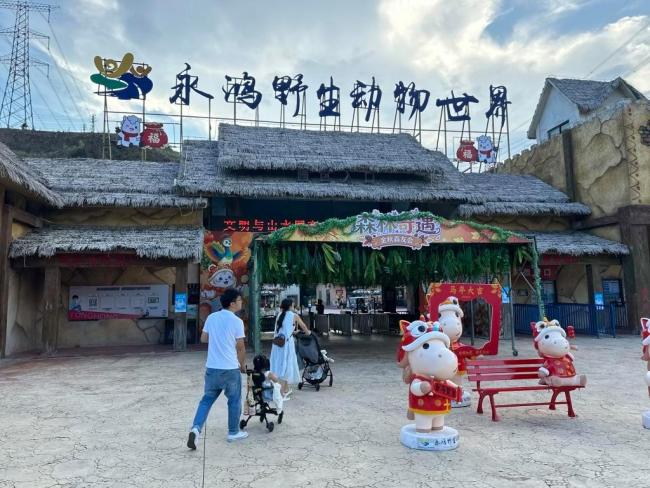 卖活鸡让猛兽撕咬 动物园投喂引争议