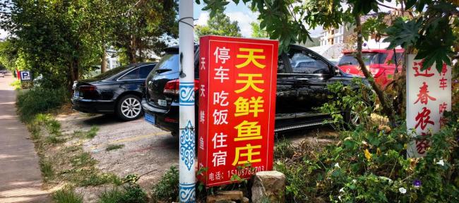 官方：抚仙湖景区石锅鱼多是养殖鱼 游客需仔细甄别