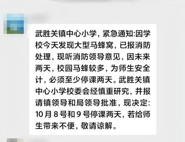 湖北一小学发现大型马蜂窝：停课两天