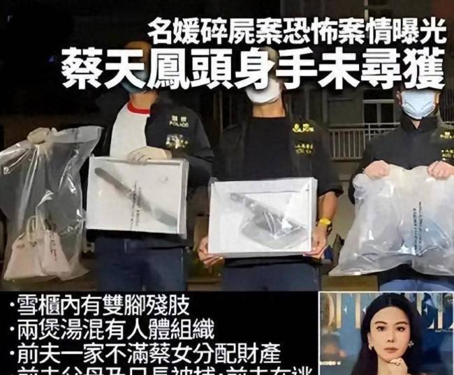 蔡天凤案疑点重重 庭审揭示惊人细节