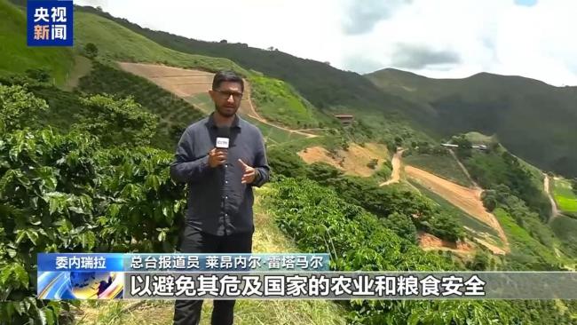 超强厄尔尼诺影响委内瑞拉咖啡豆 农户应对干旱挑战