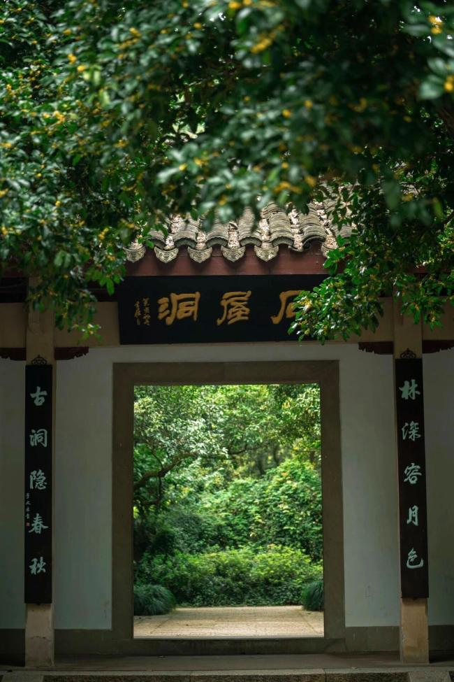浙江的赏桂线路天花板 三条经典路线推荐