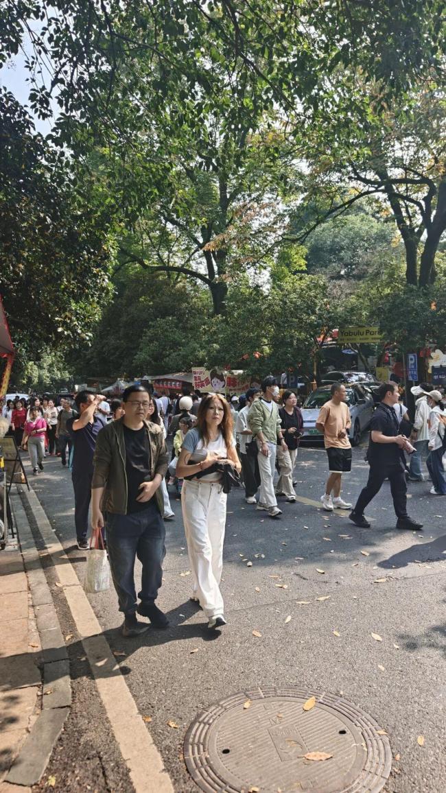 杭州满觉陇迎来赏桂高峰
