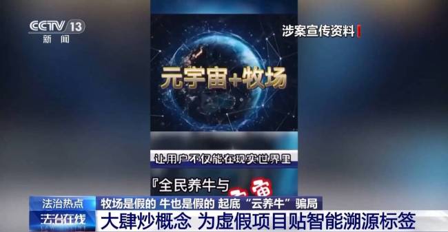 央视起底云养牛骗局 警惕高收益陷阱