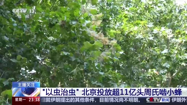 北京派出11亿头“虫虫特工队”