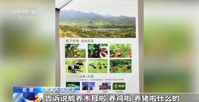 500余人被骗1.6亿余元 高收益陷阱诱骗老年人