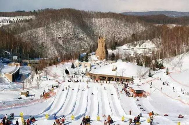 中国成奥罗阿大区第五大客源国 增速超预期引发关注