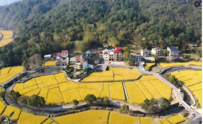 再添4处！中国世界灌溉工程遗产总数已达46项 新增遗产展现古代智慧