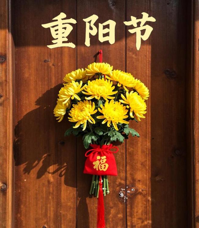 九月初九愿岁月久久 福寿安康长相伴