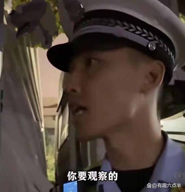 上海一司机撞树喊冤:这棵树长太歪 都怪它心态引反思