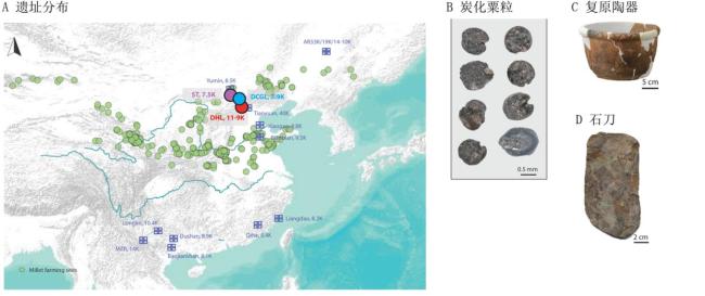 科学家揭示北方早期粟作人群起源