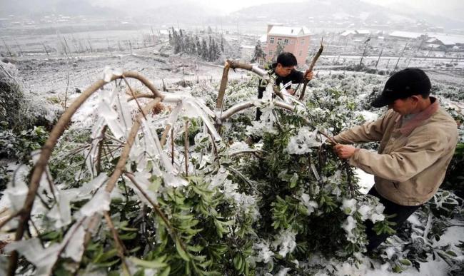 广东人最怕的湿冷来了 极端天气催生防冻需求