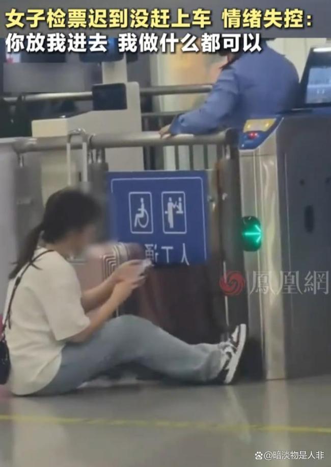 12306回应女子迟到错过检票失控哀求 规则与同情的两难选择