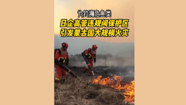 日企高管或因保护区狩猎引发火灾 非法行为引众怒