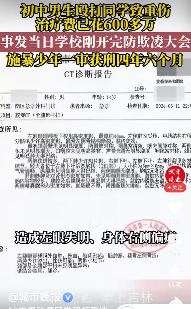 13岁男生遭殴致偏瘫失明,施暴者获刑四年六个月 赔偿与判罚引争议