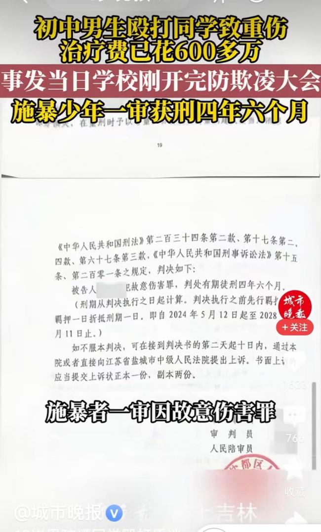 13岁男生遭殴致偏瘫失明,施暴者获刑四年六个月 赔偿与判罚引争议