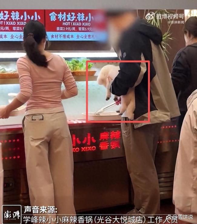 麻辣香锅门店男子抱狗选食材