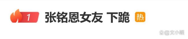 张铭恩为违章停车道歉