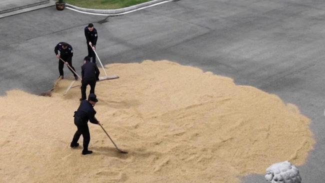 民警邀请2位晒稻谷老人到派出所大院里晒 安全晒场暖人心