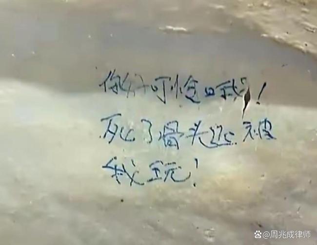 戏谑大体老师透支捐献善意