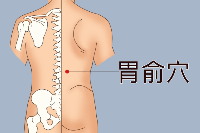 胃俞穴位置图