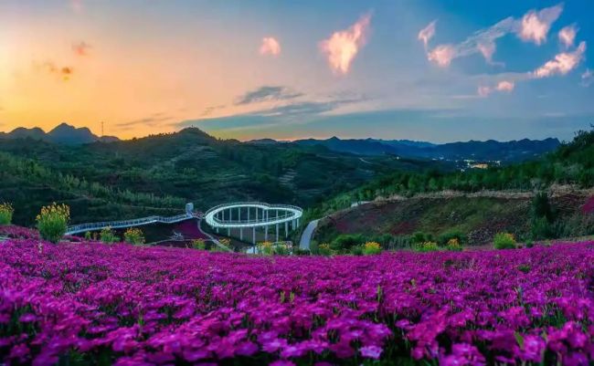 淄博三水源生态旅游度假区:上山看花海下湖看鸬鹚,国