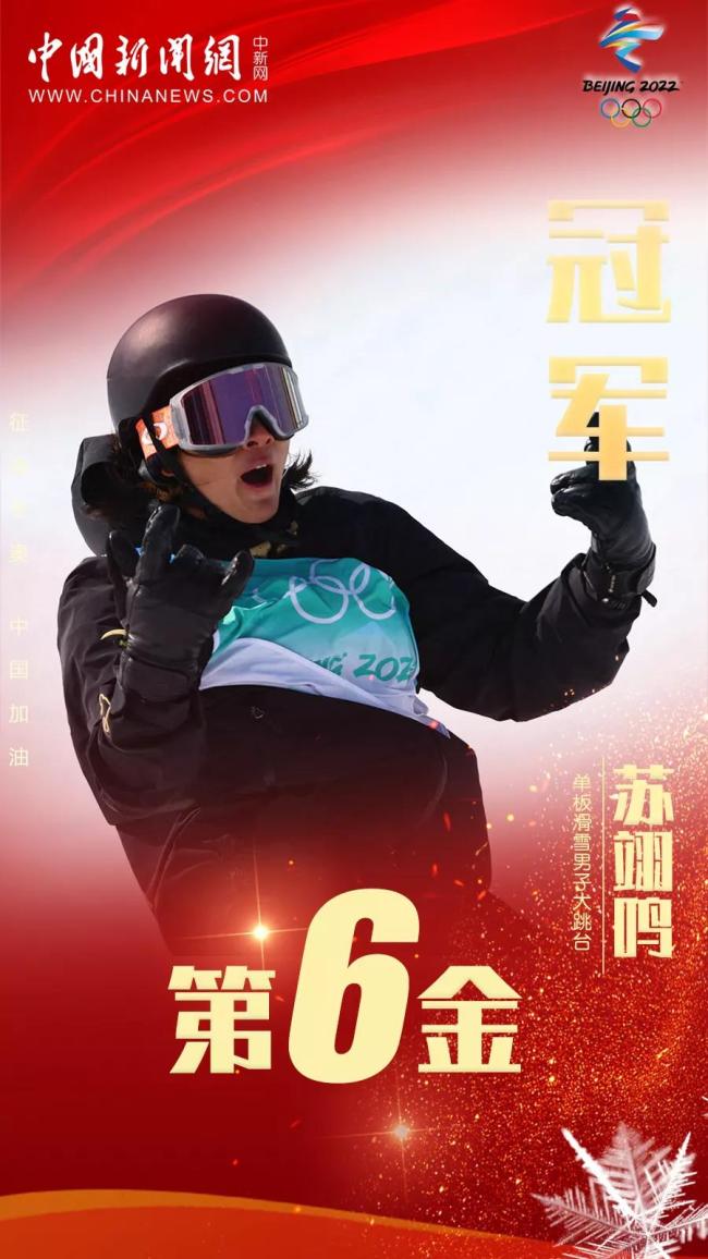 九宫格！回顾冬奥会中国的九枚金牌