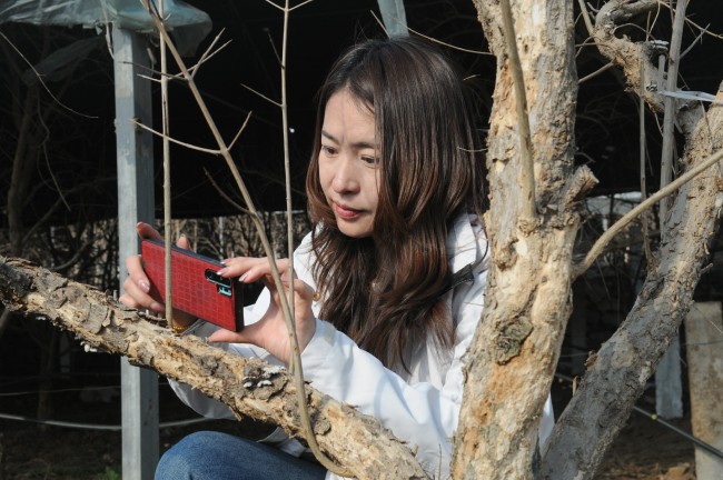 淄博淄川区大学生张锦超获山东省乡村振兴百名优秀女农人荣誉称号