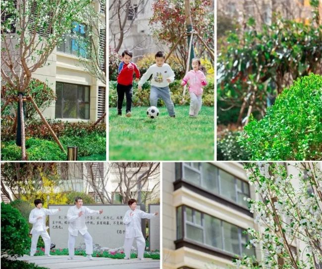 东方学府 (2).jpg 图片