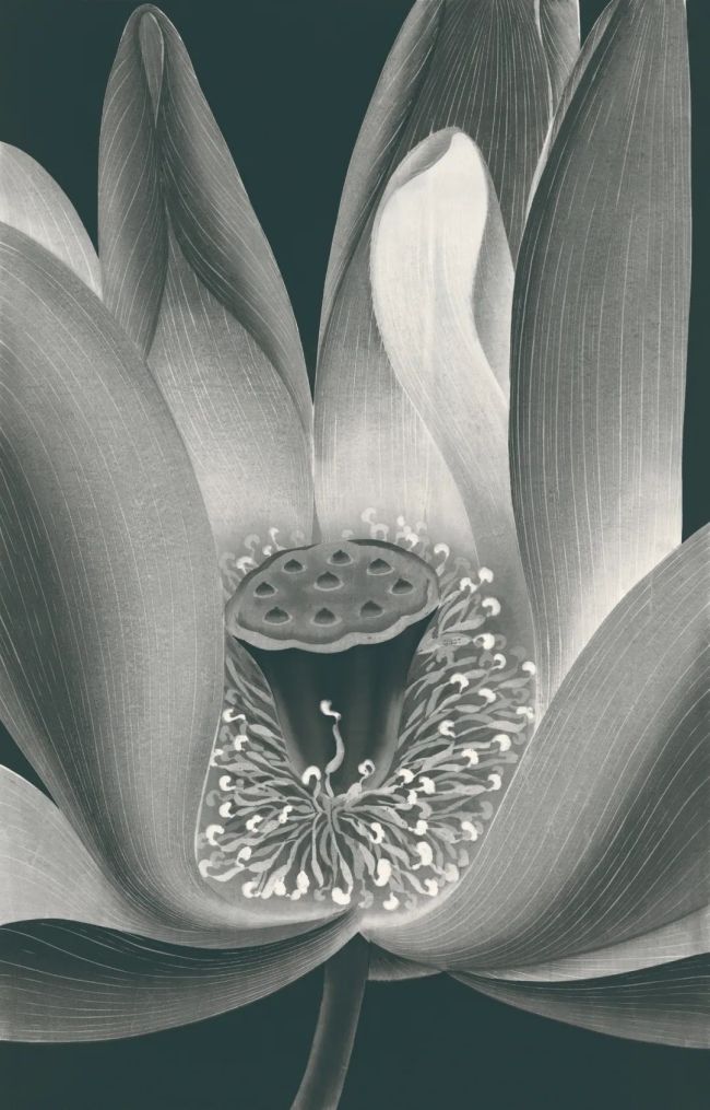 观物致知——著名艺术家陈琦水印木刻研究_山东站_中华网