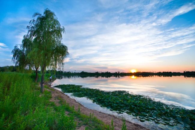 济南蓝石大溪地举步皆繁华,满满绿意鲜氧呵护健康生活