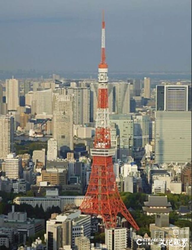 20230713102902167540.jpeg 8.jpeg