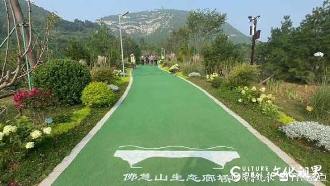 山东第一全国第三！济南佛慧山绿色生态廊桥正式启用