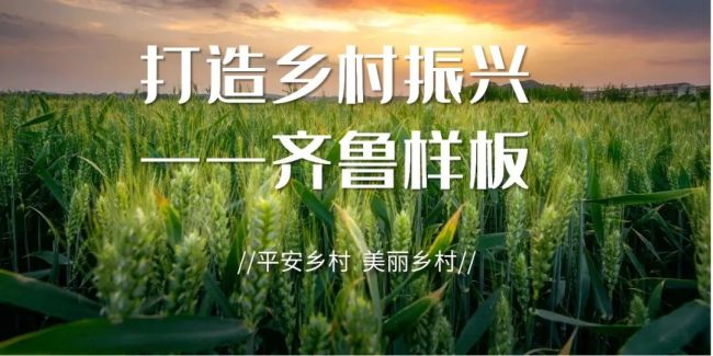 重磅 ！国家级名单，荣成市上榜！