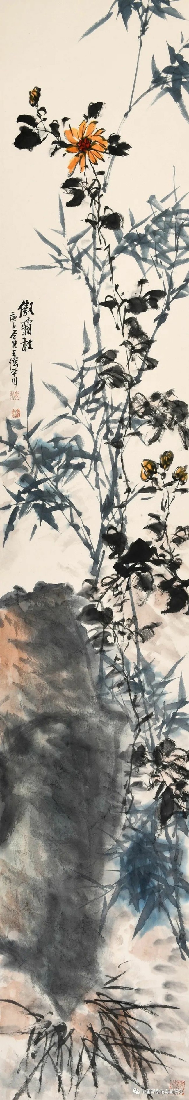 王伟平·花鸟画丨妙处全在"青藤白阳"间