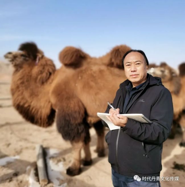 王晓银·奔跑的骆驼︱寻梦西部，永不停步