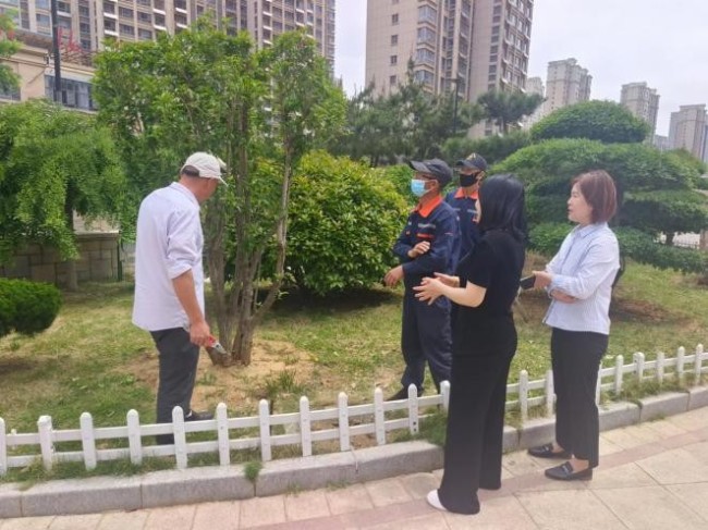 莱山区探索城市管理进社区“三大举措”全面构建城市精细化管理效能