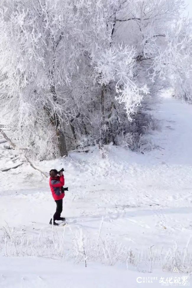 闲云野鹤⑮ | 西北行（八）——北疆看雪迎新年