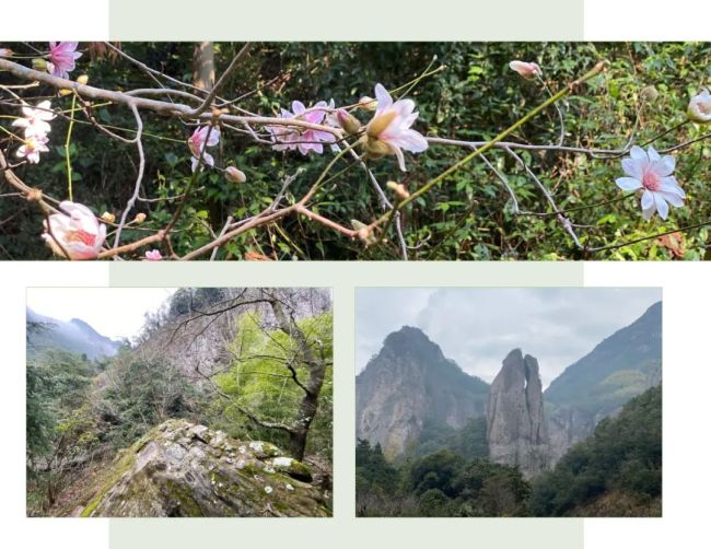 李恩成·雁荡山写生丨雁荡经行云漠漠，龙湫宴坐雨蒙蒙_山东站_中华网