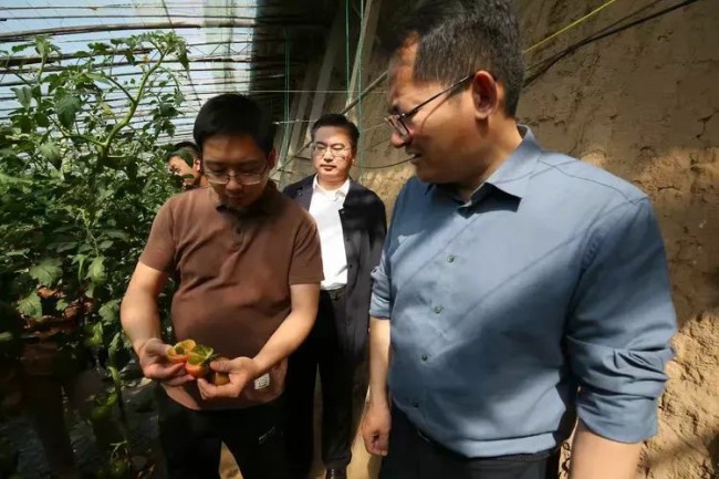 强化农业人才支撑——智慧赋能济南章丘农业生产