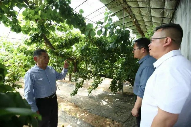 强化农业人才支撑——智慧赋能济南章丘农业生产