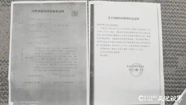 假5.jpg