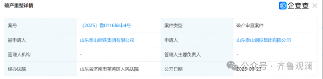 今年以来被执行总金额高达3.62亿元——泰山钢铁集团申请破产，去年还蝉联“济南民营企业100强”榜首