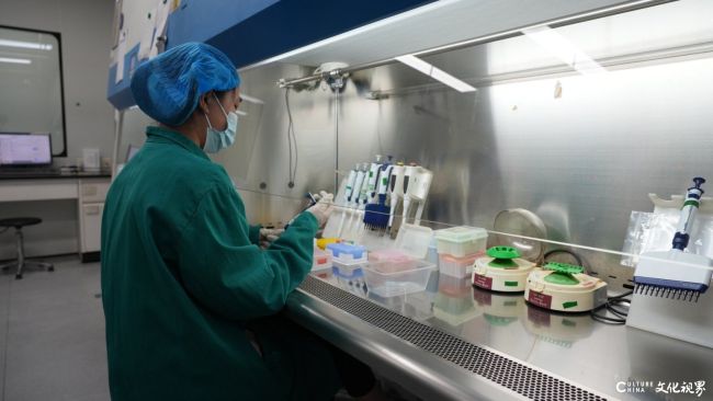 基因有答案，健康新未来 | 银丰生物与您共启生命密码