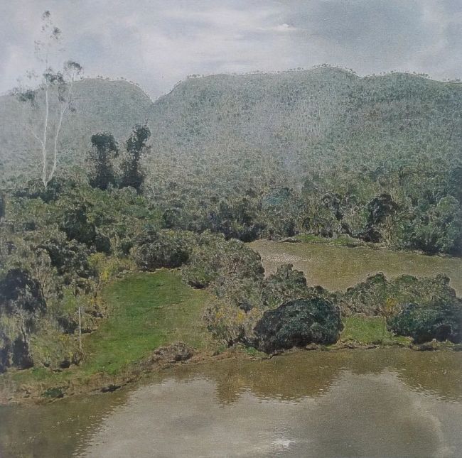 张冬峰·写意油画| 既不失油画的色彩厚度，又透着中国传统山水画的空灵