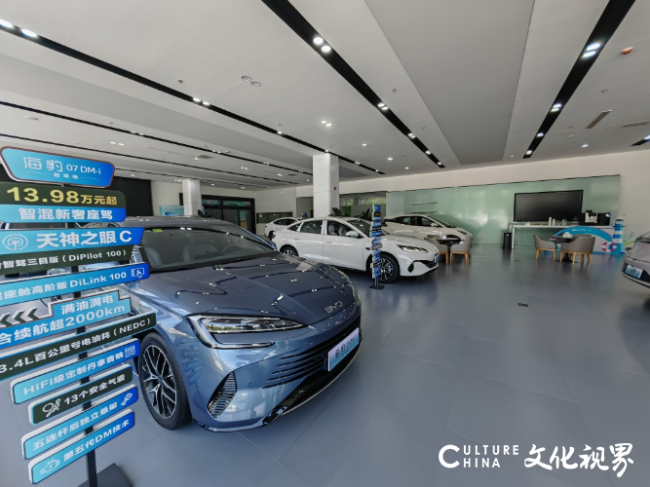 行业向上，比亚迪向下——终结18个月连增，9月销量罕见下滑，落后市场大盘