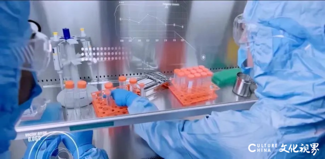 20251022092843233373.png zmlrxu7s.png